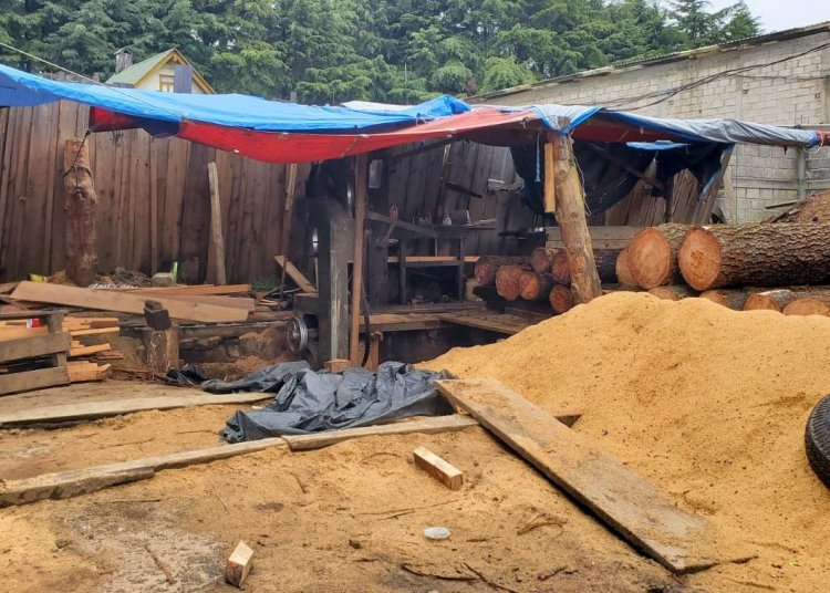 Desmanteló un aserradero ilegal en Huitzilac Profepa