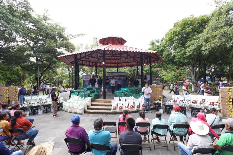 Impulsa Eder Rodríguez Casillas  producción ornamental en Jiutepec