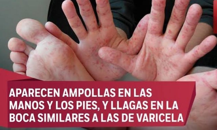 Esta semana, hay clases normales;  falso, rumor sobre una enfermedad