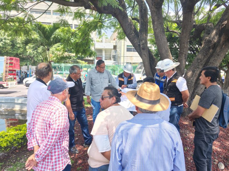 Construyen andador vial frente  al IMSS, en la Av. Plan de Ayala