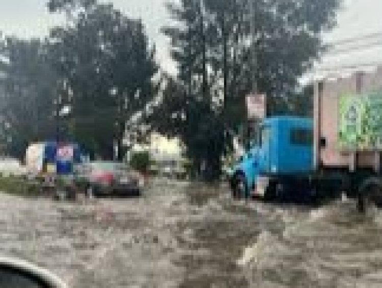 Caída de árboles y encharcamientos por  las lluvias; alerta de más caída de agua