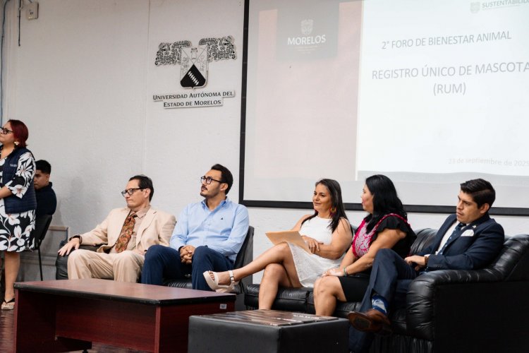 Crean red para el  bienestar animal