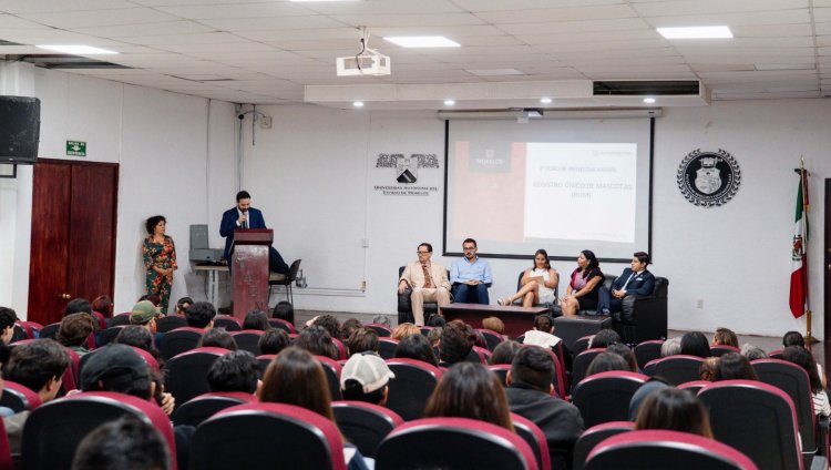 Crean red para el  bienestar animal