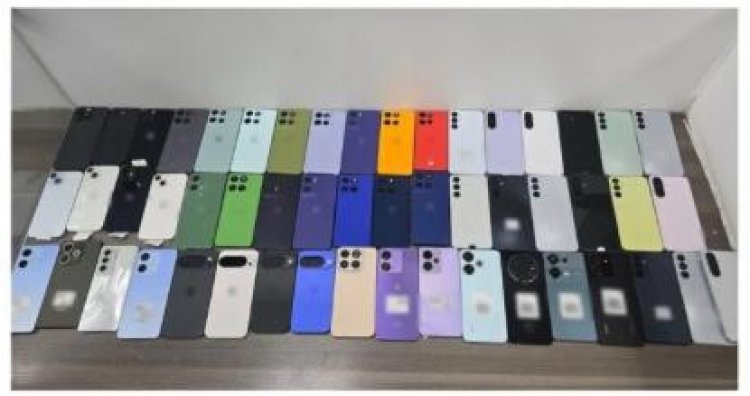 Morelos y CDMX desarticulan banda dedicada al robo regional de negocios