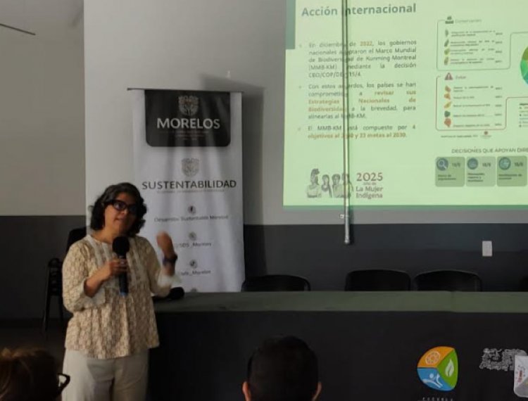 Realizan Taller Intersectorial Estrategias sobre Biodiversidad