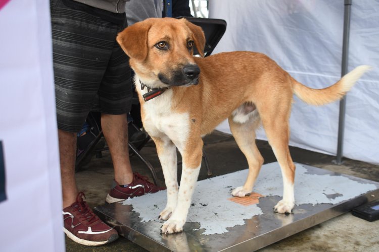 Escucha y atiende Eder Rodríguez  a más de 500 en la Otilio Montaño