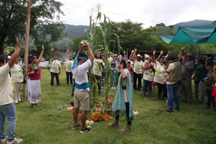 Participa CIByC en conservación de maíces nativos con comunidades