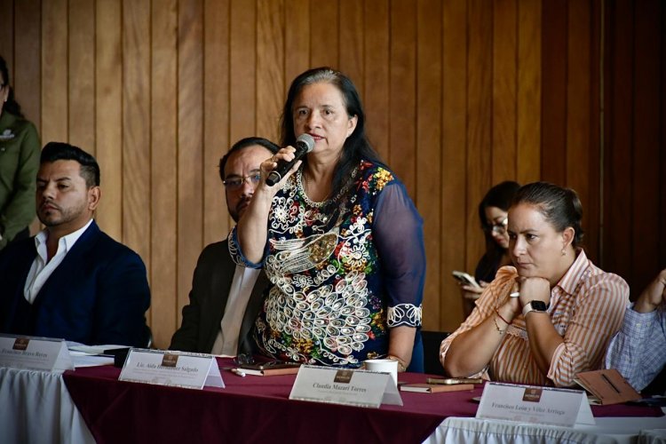 Mayor coordinación institucional  en materia de seguridad pública