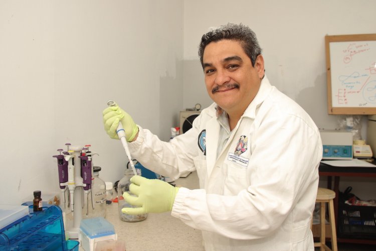 Investigador de UAEM, galardonado  por avances en micología aplicada