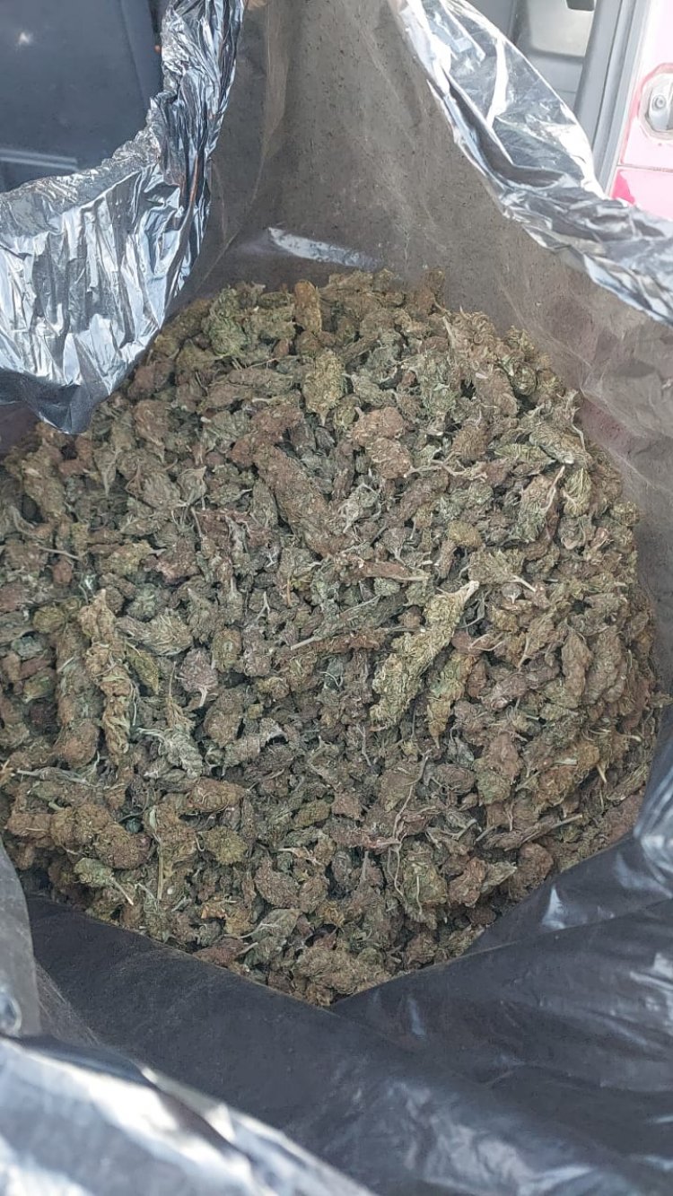 Golpe al narco en el Oriente: 200 kg de marihuana decomisados