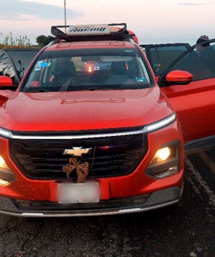 Golpe al narco en el Oriente: 200 kg de marihuana decomisados