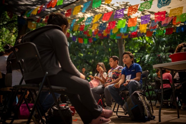 Invitan a la "Semana del Murciélago" para concientizar sobre su relevancia