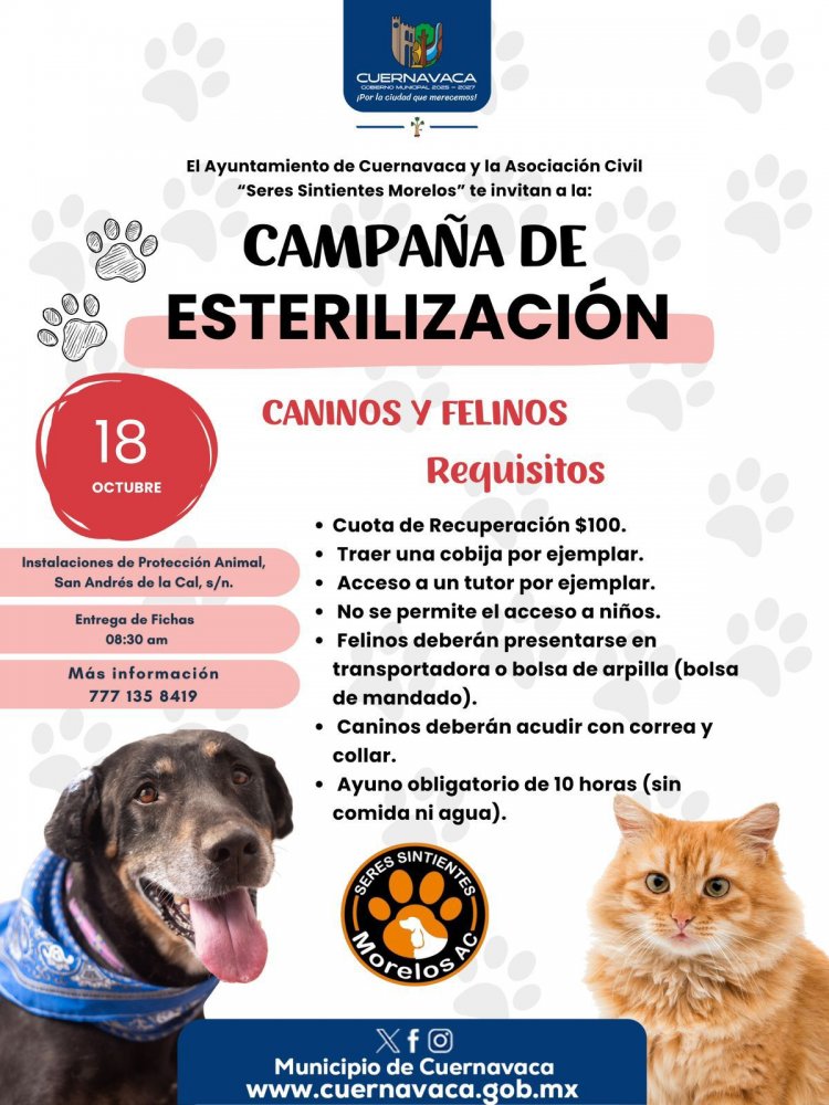 Inicia Cuernavaca nuevo capítulo  en protección de seres sintientes