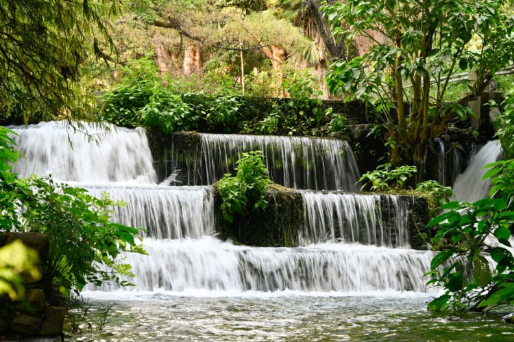 Lanzan el programa de manejo de  áreas naturales protegidas 2025