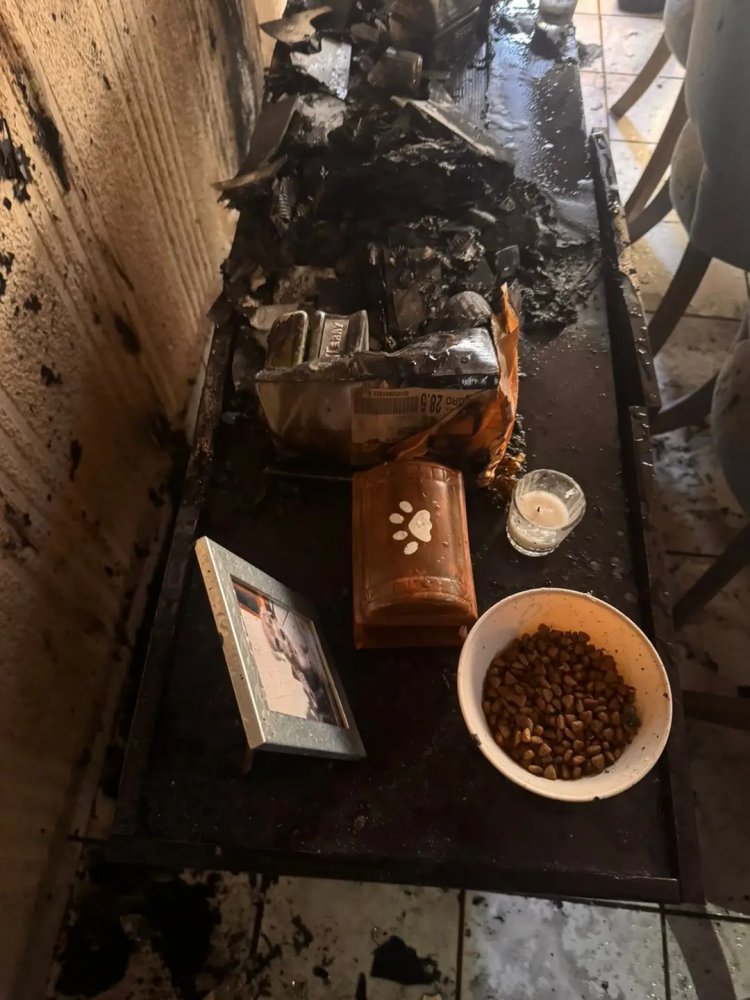 Envuelta en llamas, casa en  colonia capitalina, Tulipanes