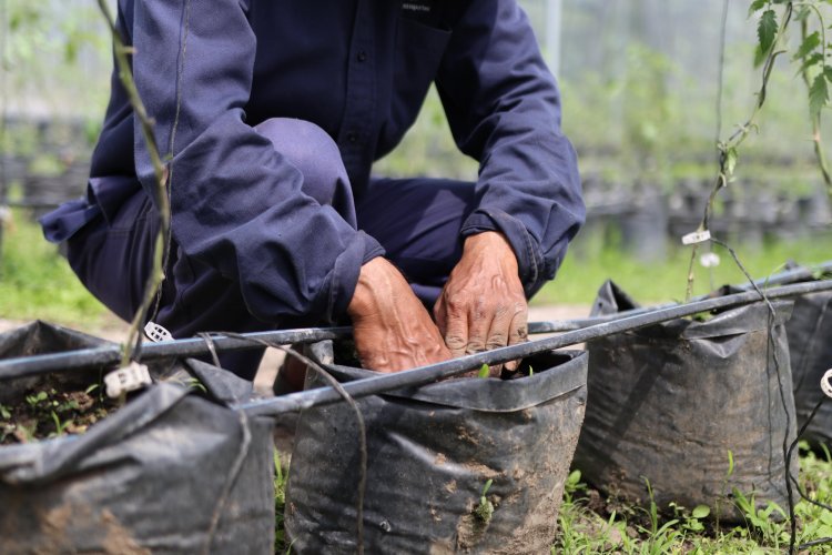 Avanza agro en Jiutepec con el respaldo de ERC