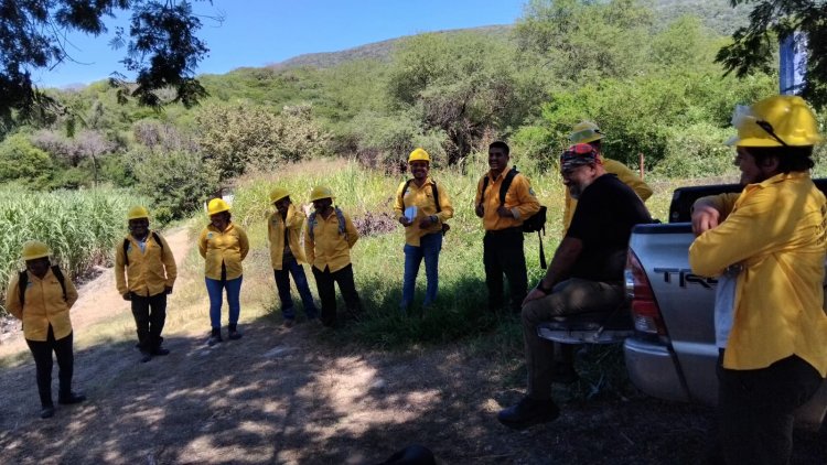 Forman brigada para el blindaje de Sierra de Huautla Vs. incendios