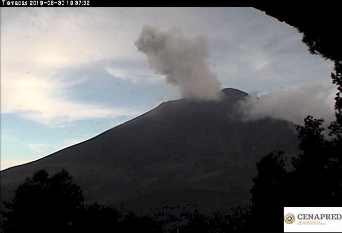 Aumenta Don Goyo aun más su actividad