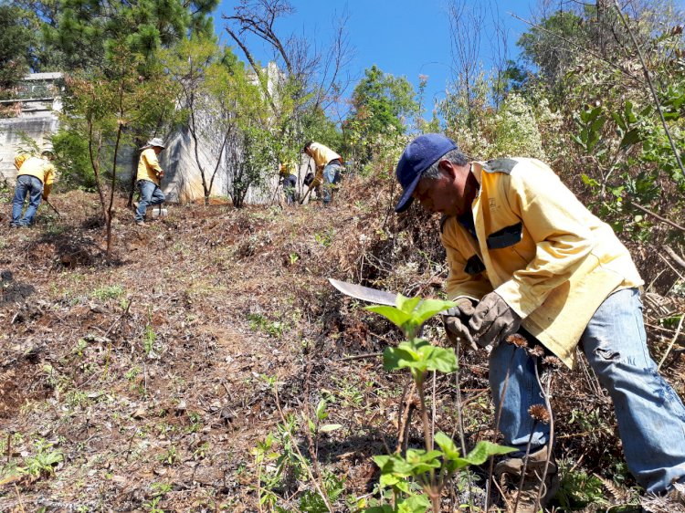 Aseguran que hay medidas  preventivas para incendios
