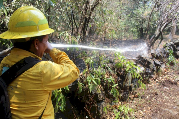 Van tres días de lucha en contra  de feroz incendio en Tepoztlán