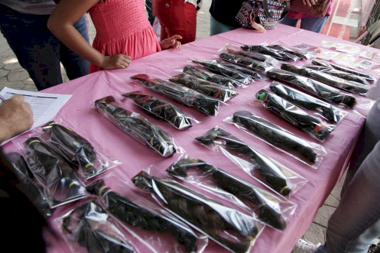 Donación de cabello, acto de amor para mujeres luchadoras